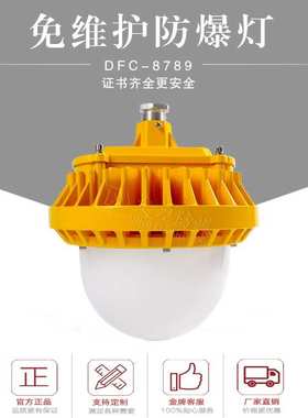 护栏式法兰式LED防爆DFC-8789/40W50W60W/防眩目灯罩灯IP66防护