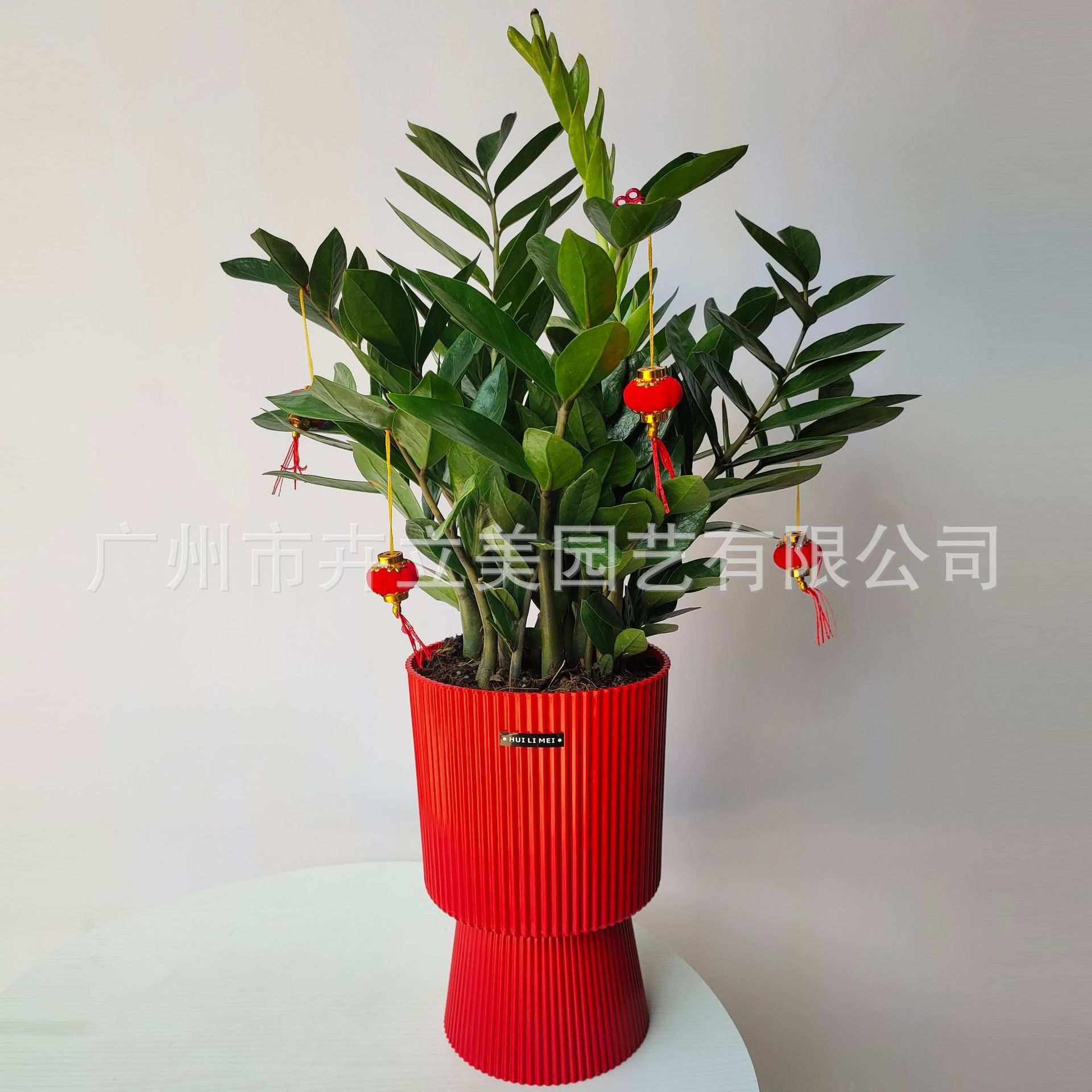 简约欧式罗马盆高脚蝴蝶兰花盆大号塑料花盆网红园艺树脂花盆套盆