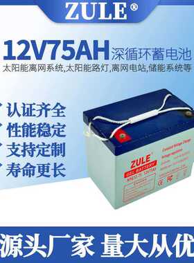12v铅酸胶体电池75ah畜电瓶机房备用电源ups蓄厂家储能光伏储能