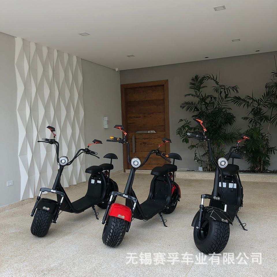 源头工厂热销电动车自行车哈雷轻便女士电瓶车小型助力上班电动车