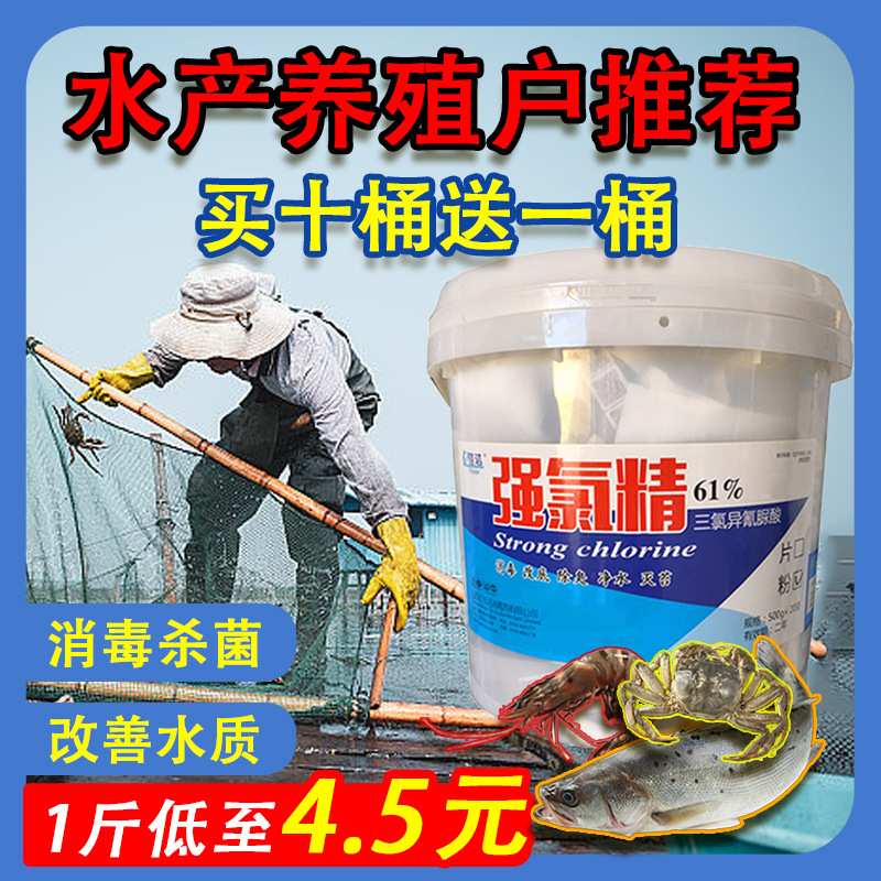 强氯精水产养殖消毒片三氯异氰尿酸粉剂颗粒鱼塘虾蟹水库杀菌净水