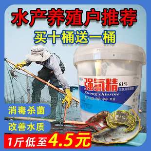 强氯精水产养殖消毒片三氯异氰尿酸粉剂颗粒鱼塘虾蟹水库杀菌净水