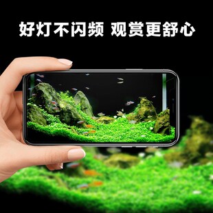 鱼缸水草灯LED全光谱爆藻灯小型鱼缸支架灯夹灯溪流鱼缸筒灯吊灯