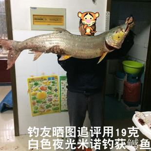 侍魂米诺路亚饵浮水20克海鲈专用远投钓红友牛港翘嘴鳡鱼夜光假饵