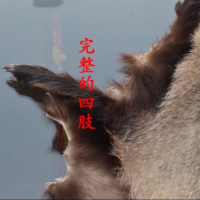 整张真热坐垫座司汽车沙发座椅散皮通风透气四季通用垫机办公室