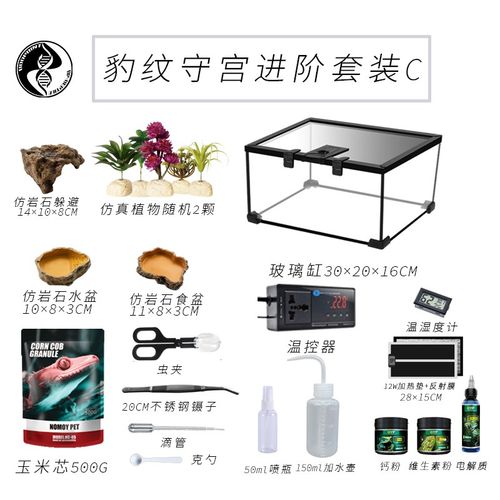爬宠守宫饲养套装玻璃缸爬缸组合爬虫角蛙豹纹睫角宠物蛇造景爬箱