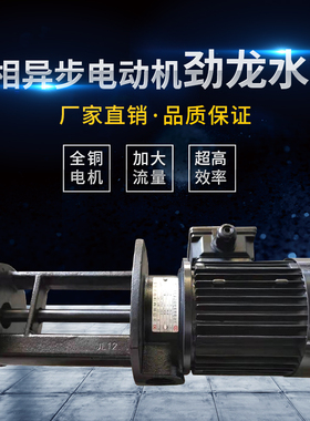 玻璃清洗机黑色水泵 劲之龙YSB7102HF100/50 250W强力泵耐酸碱