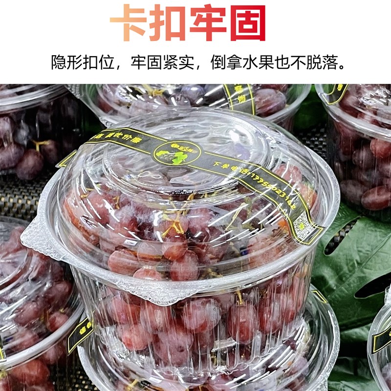 圆形打包盒一斤装水果切盒子带盖透明塑料盒有孔一次性水果包装盒