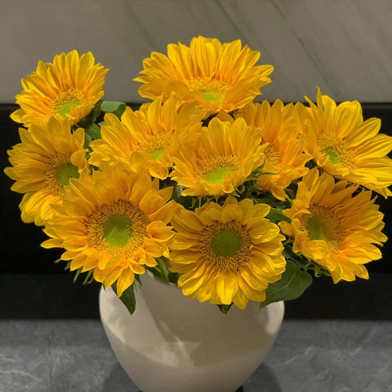 m插ni油画风绿芯向日葵小太阳清切花小鲜新花瓶花艺i花送同学鲜花