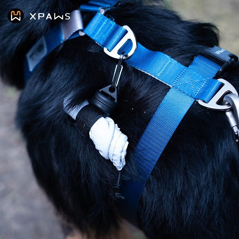 宠物工犬h型胸牵带 狗狗背心式背引绳柴字遛狗绳子中小型犬