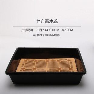 同根肉多水花盆 蓄生盆 闷养盆 可整理小方大方育苗盆 可蓄水