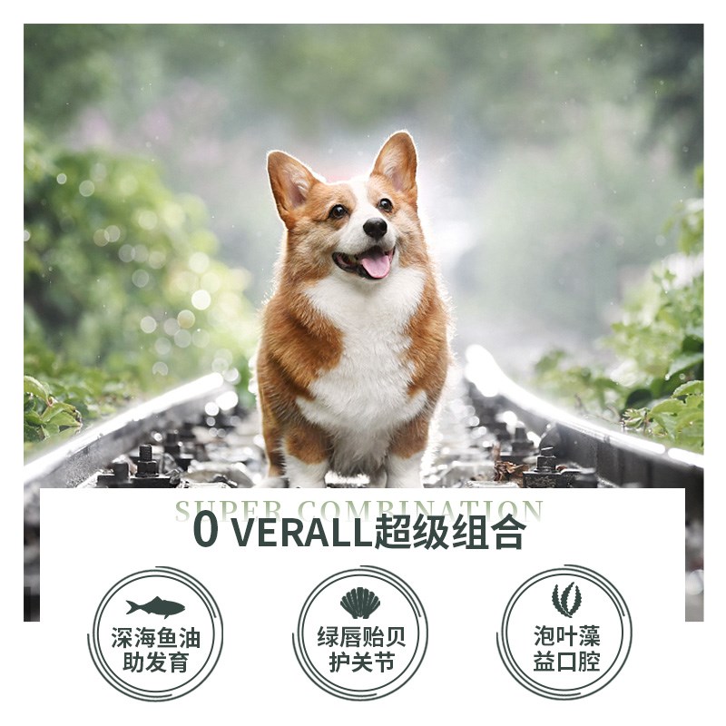新西兰狗罐头进口大小型犬通用无谷湿粮零食可拌粮170g*8罐