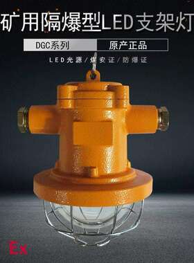 DGC18/127L(A)矿用隔爆型LED支架灯18W铸钢材质采掘工作面防爆灯