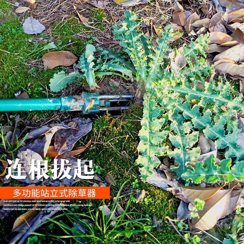 园艺除草器拔草器不锈钢挖根器挖草器取根器手动除草铲拔草起根器