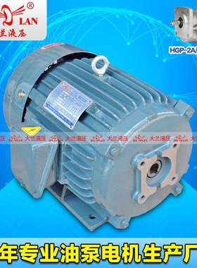 5.5HP大兰DALAN木工机械液压电机HGP-2A油泵电机DL-112M-4-4KW