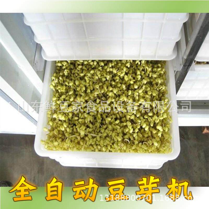 不锈钢全自动豆芽生长机 商用大型豆芽机智能 豆制品豆芽机器