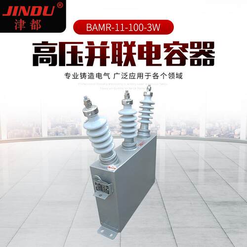 津都 高压并联电容器BAMR-11-100-3W 户外电容器 补偿电容器