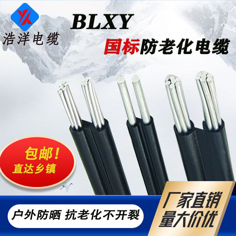 国标室外防老化2芯铝线4 6 10 16 25 35平方集束平行线铝芯电缆线