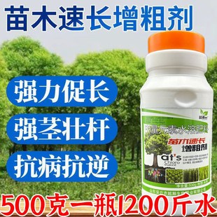 苗木速长增粗剂强力生根壮苗快速增长增大杨树桉树花卉绿植生长素