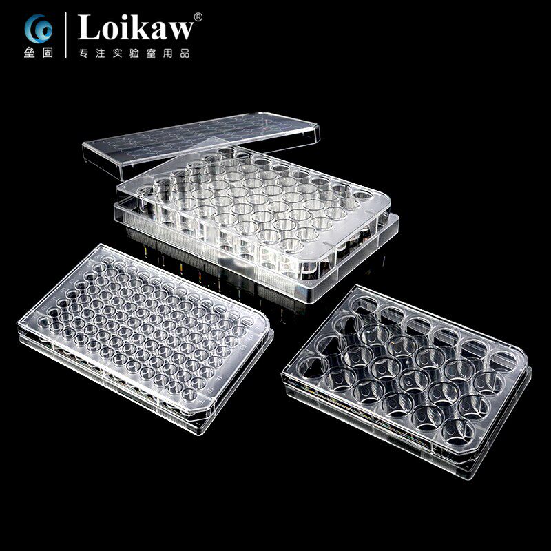 巴罗克 细胞培养板 6孔/12孔/24孔/48孔/96孔培养板 玻片