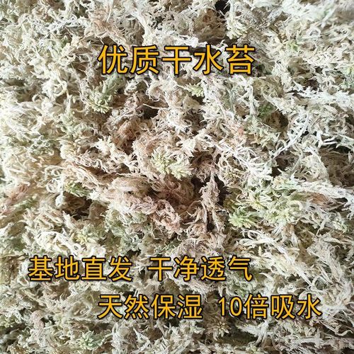 优质水苔蝴蝶兰花专用营养土10kg保湿疏松透气蛇乌龟仓鼠垫料