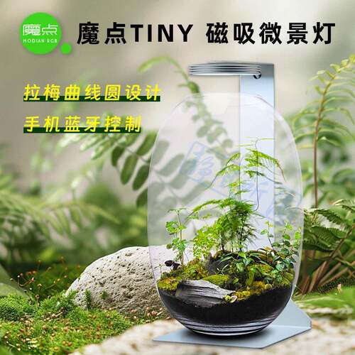 魔点磁吸微景灯 TINY系列磁吸灯 水草灯植物照明补光灯苔藓养殖灯