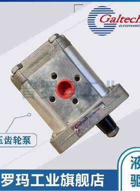意大利GALTECH齿轮泵3GP-G-370-SAEB-OR 1SM 2SM 3GM 液压油泵