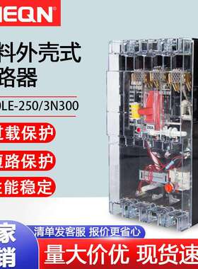 正隆DZ20LE-250/4300可视漏电断路器220v/380v漏电开关断路器开关