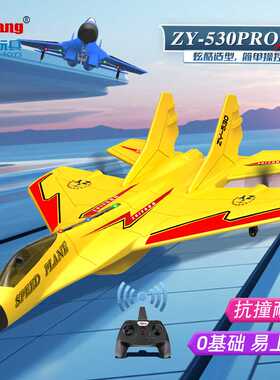 ZY-530PROX遥控飞机玩具战斗机电动模型滑翔机航模固定翼