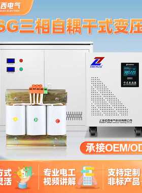 三相干式隔离变压器QSG自耦660V380V变220V转200V110伺服升压隧道