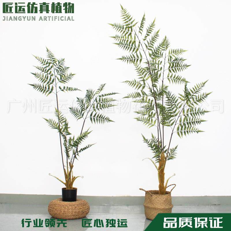 绿植摆件盆栽装饰软装造景设计软胶家居装饰北欧客厅仿真金丝猴蕨