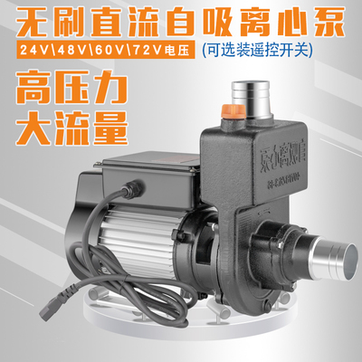 直流自吸离心泵抽油泵环卫无刷高扬程水泵24V48V60V72V洒水车水泵