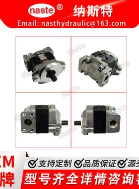 叉车配件液压泵和齿轮泵用于 FD15-18/SGP1A23L849T