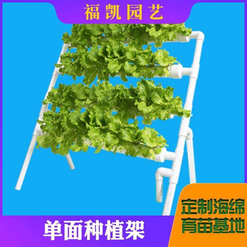 无土栽培设备单面种植架落地式PVC阳台家庭水培管道水耕机种菜机,玩具/童车/益智/积木/模型,毛绒/玩偶/公仔/布艺类玩具,淘宝优惠券,粉丝福利购,淘宝优惠卷