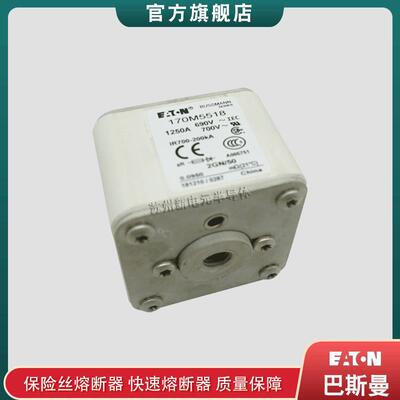 170M5536 5537 5538 5539 5540 巴斯曼bussmann快速熔断器保险丝