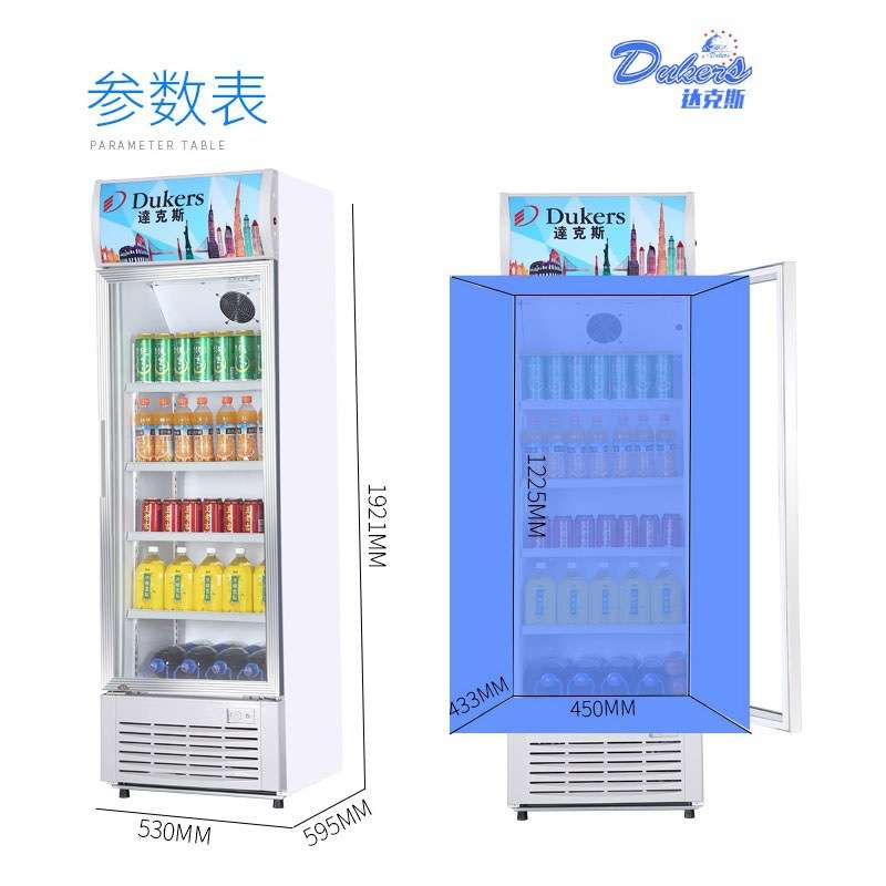 达克斯LG超市立式商用双门保鲜冷柜展示柜冷藏水果饮料大冰箱铜管