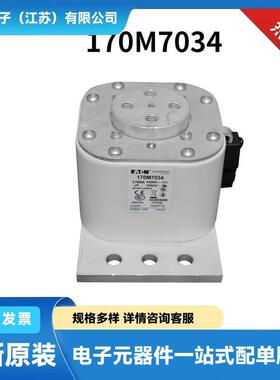 170M6965 170M6966 170M6967 170M6968原装高压熔断器 保险丝
