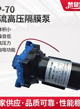 电动隔膜泵DP-70/12V24V直流增压泵循环冷却泵扫地车喷水泵