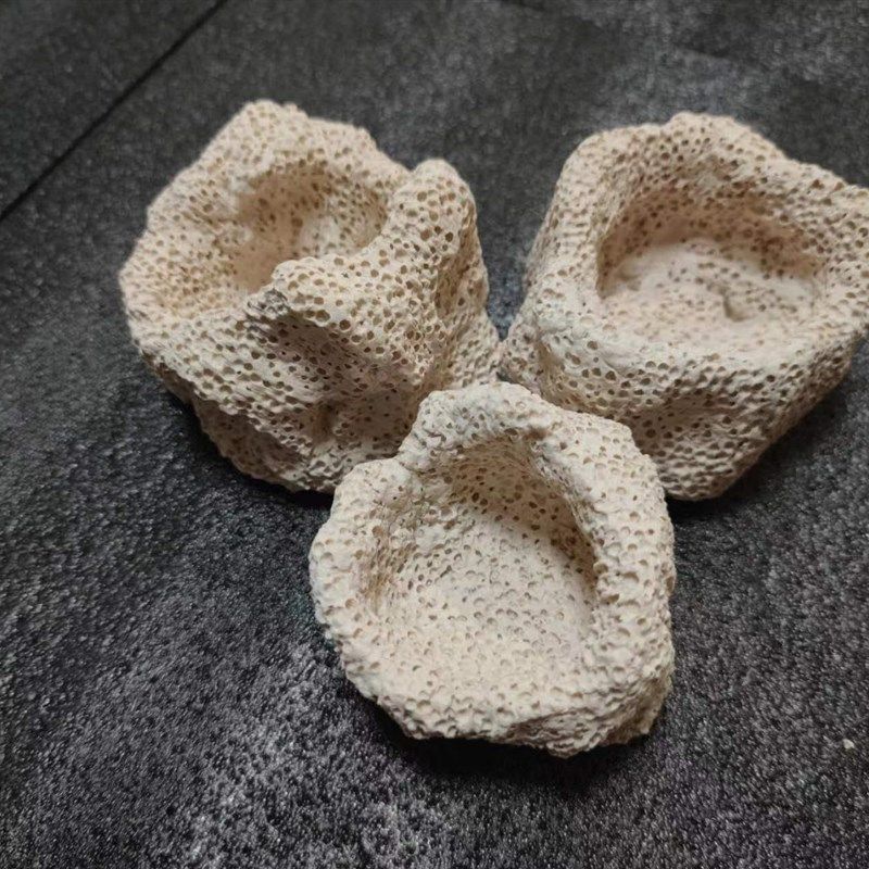 DIY蚂蚁海葵窝海水珊瑚缸奶嘴海葵罐非活石人造石水族,宠物/宠物食品及用品,造景/装饰,淘宝优惠券,粉丝福利购,淘宝优惠卷