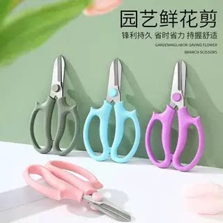 花枝剪玫瑰花打刺钳鲜花插花剪图片