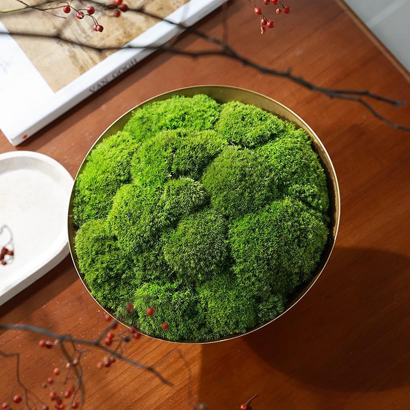 形上永生苔藓盆景桌寂中古金色花器售楼处酒店大谈洽堂侘装饰摆件