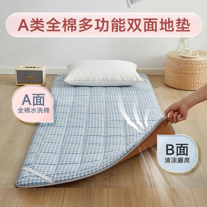 家夏两用凉席床垫软垫少儿学生午休床幼儿园午睡垫用地铺冬打睡垫