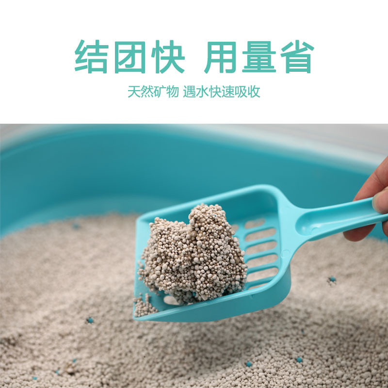 花芯猫砂10L*3包送润土结团低粉尘经济型砂岛建厦门福内当天膨到