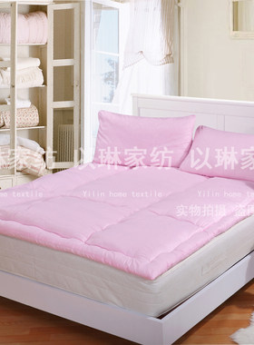 丝绵定做秋冬丝棉花床褥棉垫被/床垫褥子/棉絮/棉垫被5-6斤加厚