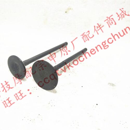 博技摩配 宗申摩托Z-one原厂气门ZS150-48A进排气门油封