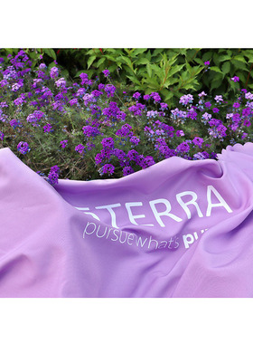 多特瑞桌布 会议布上课宴会聚会台布do布艺 紫色