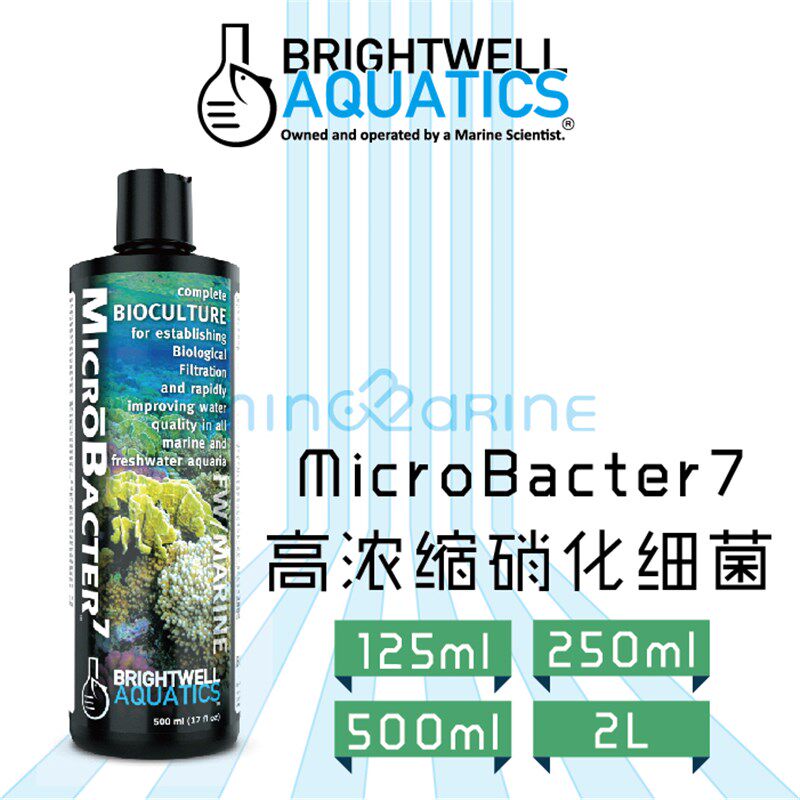 BW MicrBacter7高浓缩海水硝化除氨稳定净水剂海水缸硝化细菌