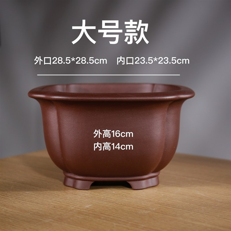 新款特大号高档精品名家尹恒兵四方抽角罗汉五针黄山松紫砂盆景盆