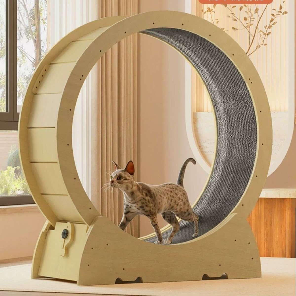 跨境猫咪跑步机猫爬防猫抓猫窝跑道轮木质健身运动放松宠物猫滚轮