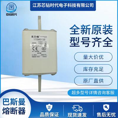 170M5149170M5150巴斯曼BUSSMANN熔断器保险丝